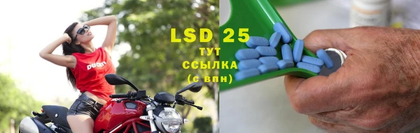 PSILOCYBIN Армянск