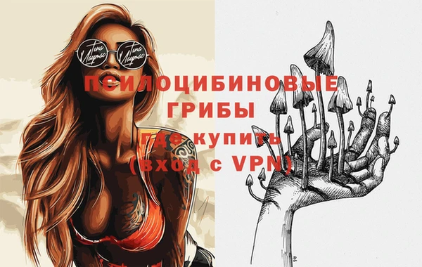 кокс Аркадак
