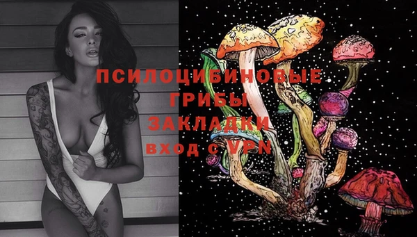 кокс Аркадак