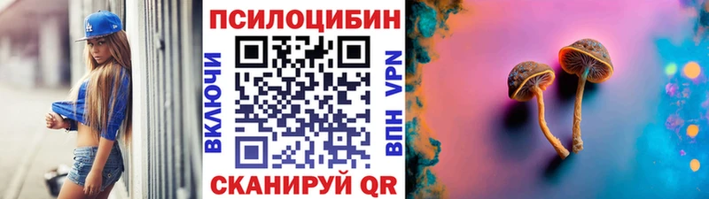 купить наркотик  Бабаево  Галлюциногенные грибы MAGIC MUSHROOMS 