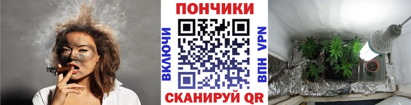 darknet наркотические препараты  Бабаево  Марихуана планчик 
